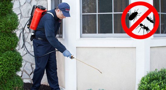 Marmaraereğlisi Tahtakurusu İlaçlama böcek ilaçlama ve haşere kontrolü — ilaclama-tr.com